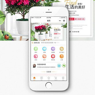 城口门店微商城小程序开发