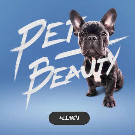 城口宠物中心小程序开发