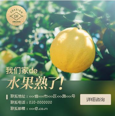 城口果园果林小程序开发